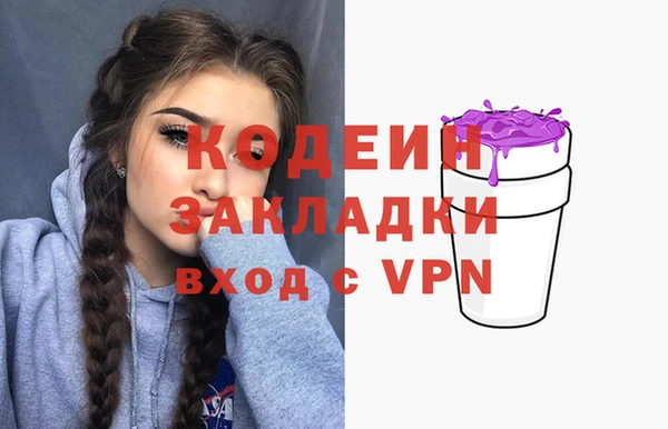 хмурый Шали