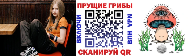 Псилоцибиновые грибы Cubensis  как найти   blacksprut ТОР  Юрга 
