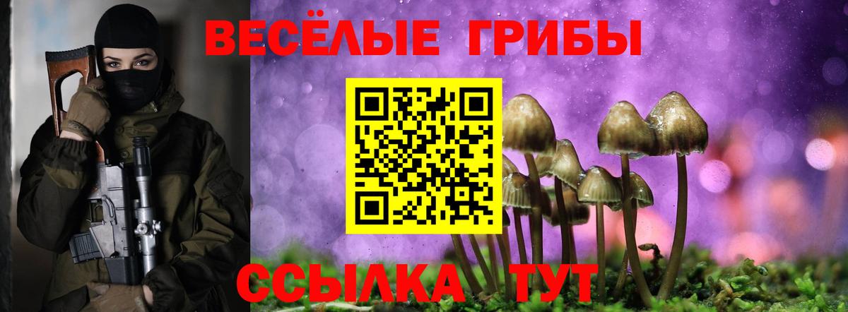 Юрга  Галлюциногенные грибы GOLDEN TEACHER  Вход с VPN 